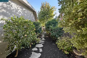 3420 Bayberry Dr, Walnut Creek, CA 94598 - Photo 43