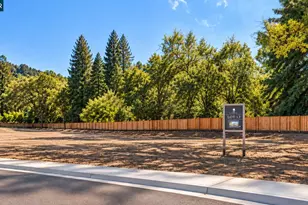81 Dot Dr, Alamo, CA 94507 - Photo 17