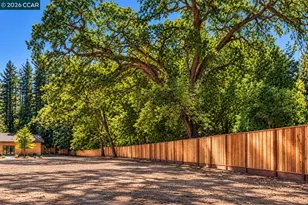 81 Dot Dr, Alamo, CA 94507 - Photo 15