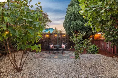 830 Cornell Ave, Albany, CA 94706 - Photo 57