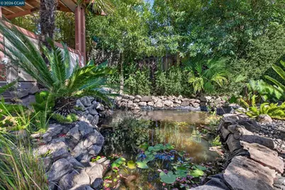 3402 Hall Ln, Lafayette, CA 94549 - Photo 13