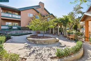 204 Stone Pine Ln, San Ramon, CA 94583 - Photo 33