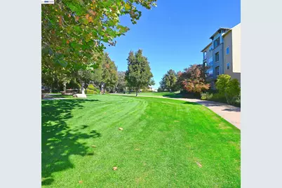 1315 Alma Ave #441, Walnut Creek, CA 94596 - Photo 33