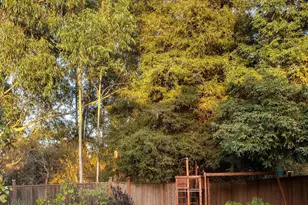 32 Sheridan Rd, Oakland, CA 94618 - Photo 43