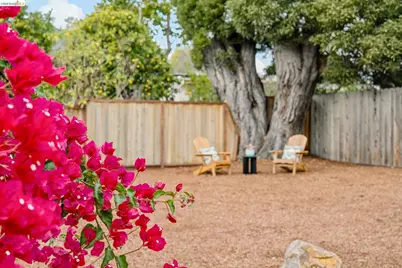 1537 Carleton St, Berkeley, CA 94703 - Photo 47