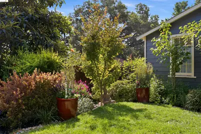 4616 Dolores Ave., Oakland, CA 94602 - Photo 59