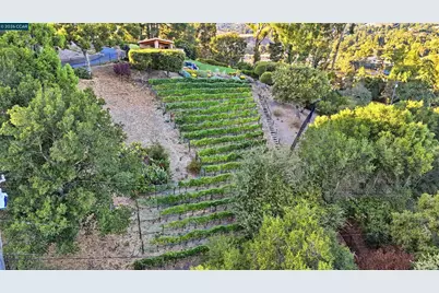3252 Alta Ln, Lafayette, CA 94549 - Photo 35
