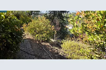 429 Roanoke Dr, Martinez, CA 94553 - Photo 37