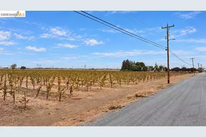 2600 Tule Ln, Knightsen, CA 94548 - Photo 15