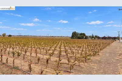 2600 Tule Ln, Knightsen, CA 94548 - Photo 7