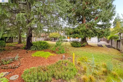 2107 Asenath Ct, Walnut Creek, CA 94598 - Photo 63