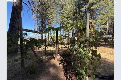 4881 Volcanoville Rd, Georgetown, CA 95634 - Photo 31