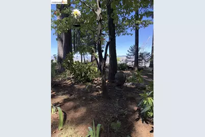 4881 Volcanoville Rd, Georgetown, CA 95634 - Photo 9