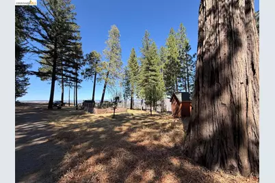 4881 Volcanoville Rd, Georgetown, CA 95634 - Photo 7