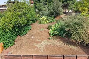 10600 Sheldon St, Oakland, CA 94605 - Photo 15