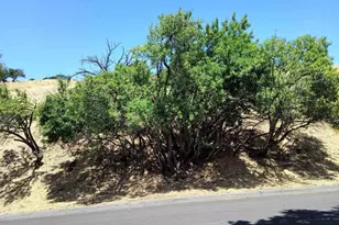 00 Central Blvd, Hayward, CA 94542 - Photo 1