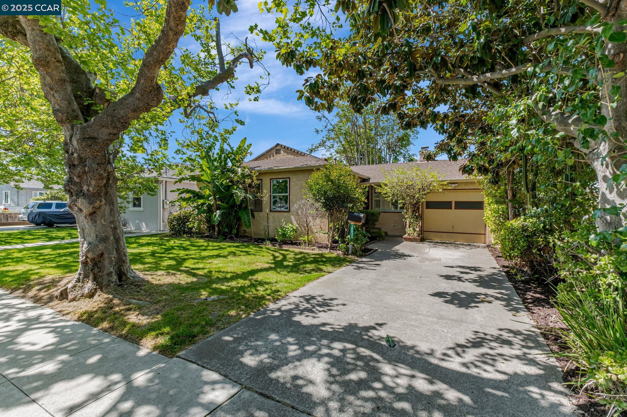 Houses For Rent In San Lorenzo Ca
