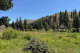 0000 Ohio Valley, Canyondam, CA 95923 - Photo 1