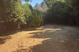 1898 Westminister Ct, San Jose, CA 95132 - Photo 5