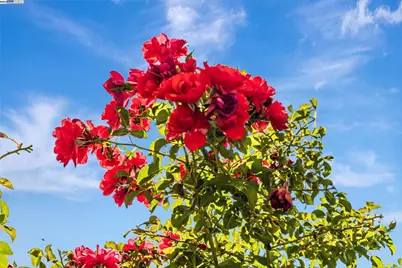 38012 Dover Cmn, Fremont, CA 94536 - Photo 1