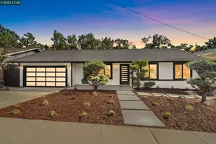 423 Del Sol Ave, Pleasanton, CA 94566 - Photo 1