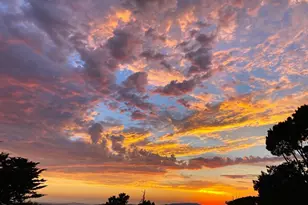 7403 Skyline Blvd, Oakland, CA 94611 - Photo 1