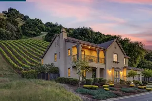 131 Wittenham Ct, San Ramon, CA 94583 - Photo 1