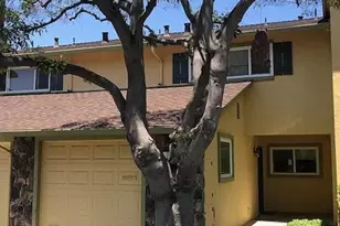 749 Gallegos Terrace, Fremont, CA 94539 - Photo 1