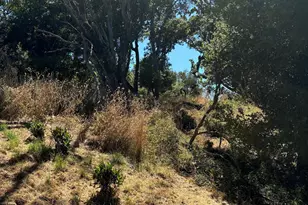 Spring Rd, Orinda, CA 94563 - Photo 1