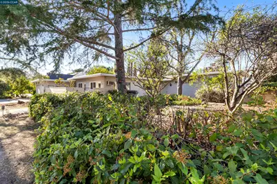1680 Lilac Dr., Walnut Creek, CA 94595 - Photo 1