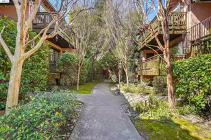 232 Race St, San Jose, CA 95126 - Photo 1