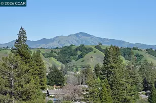 3318 Ptarmigan Dr, Walnut Creek, CA 94595 - Photo 1