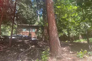 3201 Amber Trail, Pollock Pines, CA 95726 - Photo 1