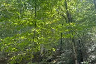 0 US-46, Mine Hill, NJ 07803 - Photo 1