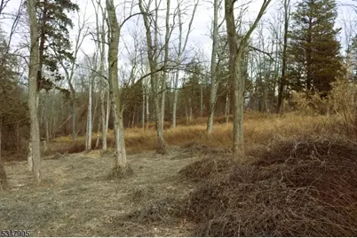 135 N Locust Lake Rd, Hope Township, NJ 07825 - Photo 13