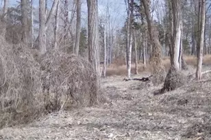 135 N Locust Lake Rd, Hope Township, NJ 07825 - Photo 1