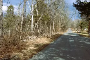 135 N Locust Lake Rd, Hope Township, NJ 07825 - Photo 5