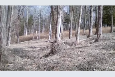 135 N Locust Lake Rd, Hope Township, NJ 07825 - Photo 7