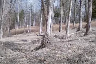 135 N Locust Lake Rd, Hope Township, NJ 07825 - Photo 7