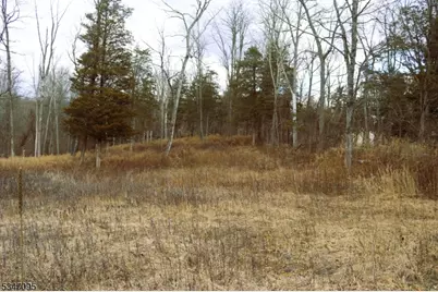 135 N Locust Lake Rd, Hope Township, NJ 07825 - Photo 11