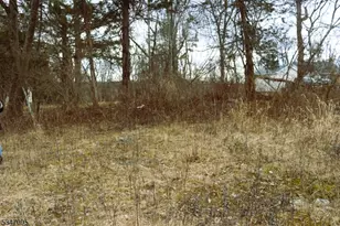 135 N Locust Lake Rd, Hope Township, NJ 07825 - Photo 15