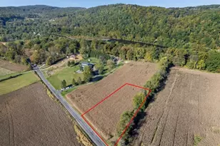 596 Carpentersville Rd, Pohatcong Township, NJ 08865 - Photo 1