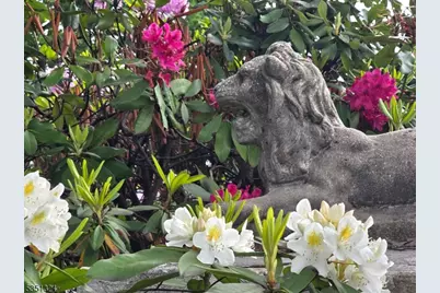 225 W Washington Ave, Washington Boro, NJ 07882 - Photo 27