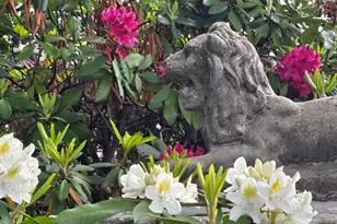 225 W Washington Ave, Washington Boro, NJ 07882 - Photo 27