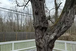 213 Liberty Corner Rd, Bernards Township, NJ 07931 - Photo 17