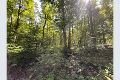 29 Elm Ave, Warren Township, NJ 07059 - Photo 7