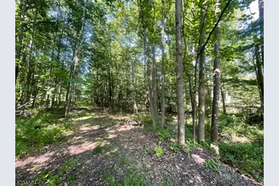 29 Elm Ave, Warren Township, NJ 07059 - Photo 1