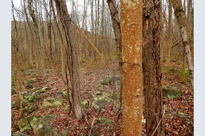 1646 1648 Route 565, Vernon, NJ 07461 - Photo 17