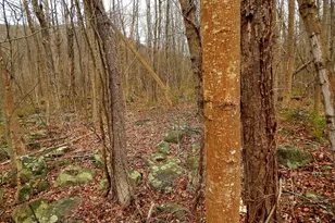 1646 1648 Route 565, Vernon, NJ 07461 - Photo 17