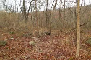 1646 1648 Route 565, Vernon, NJ 07461 - Photo 15